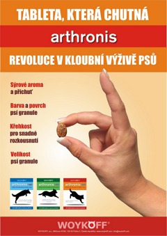 arthronis fáze 2