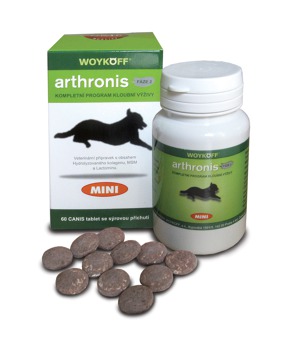 arthronis fáze 2 MINI